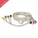 Câble Patient 10 Lead IEC 2m type plug clip